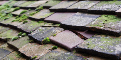 Burnham roof repair costs